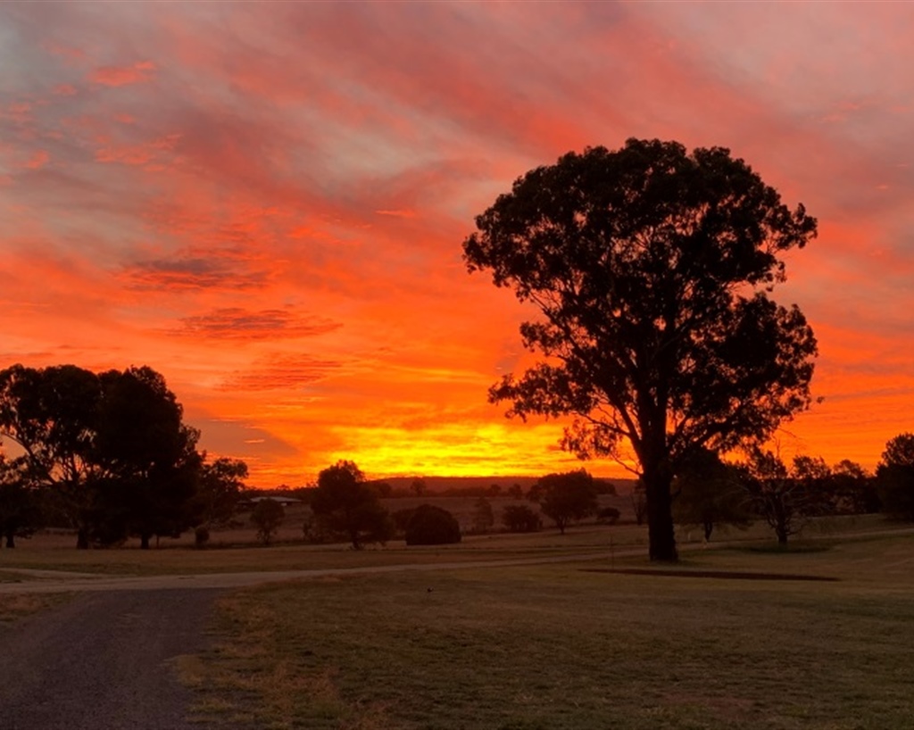 Molong NSW